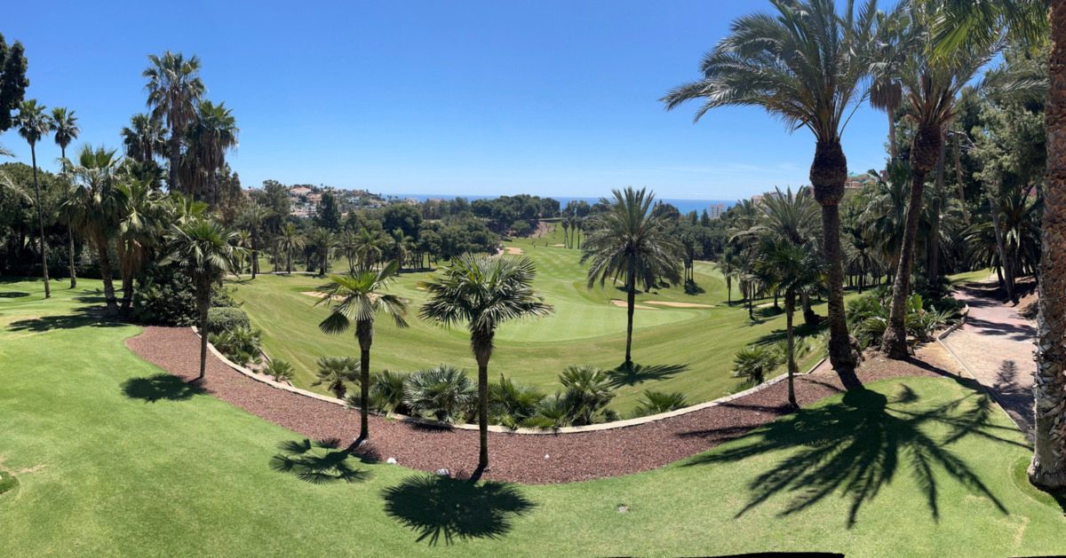 Abelias, Benalmádena: Foto 4 van 12