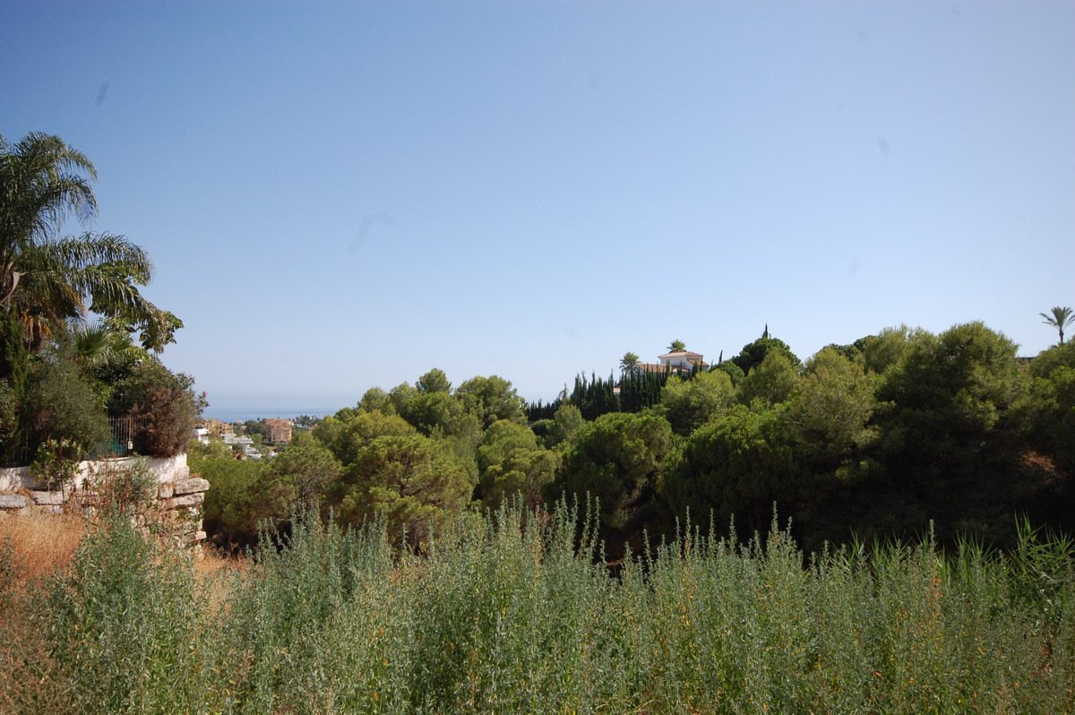 Villa Gala Selwo, Estepona: Foto 2 van 5