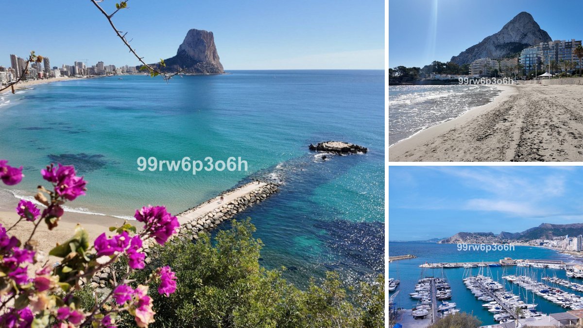 Villa Halley, Calpe: photos of the development