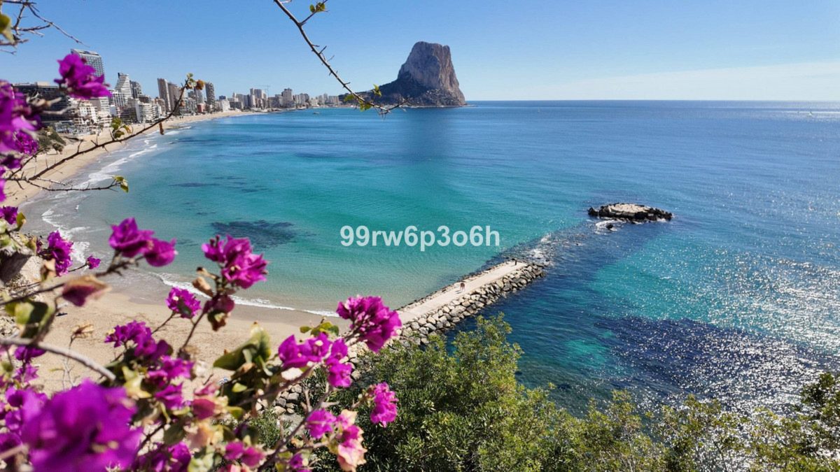 Villa Halley, Calpe: Photo 2 of 15