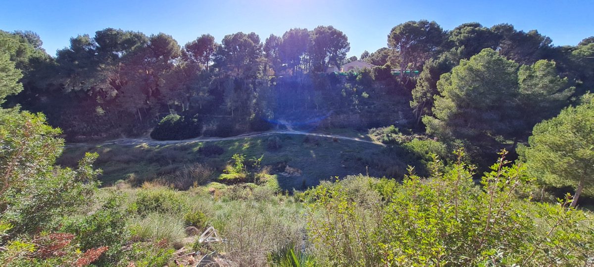 Villa Higuera, Pilar de la Horadada: Foto 4 van 10